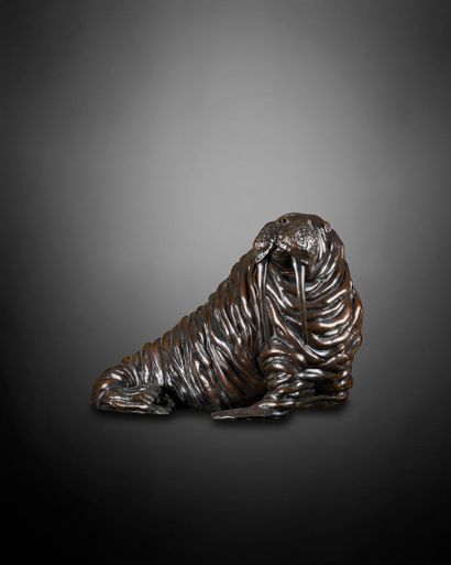 José MARIA DAVID (1944-2015)
Walrus
Brown...