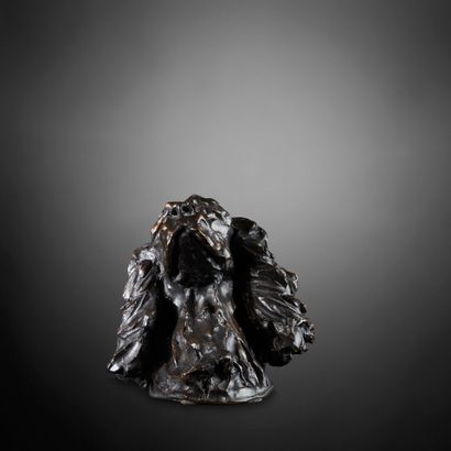 José MARIA DAVID (1944-2015)
Cocker spaniel...