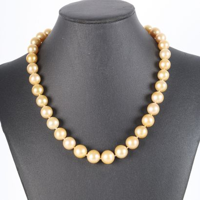Large necklace of falling gold (South sea)...