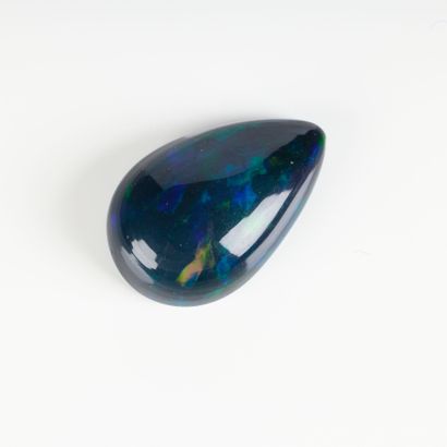 Pear-cut opal cabochon on paper with certificate...