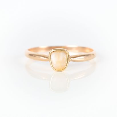 Gold ring set with a tooth. TDD 52. 1.41...
