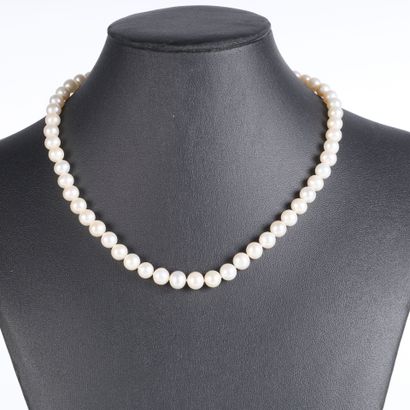 Necklace of cultured pearls (average diameter...