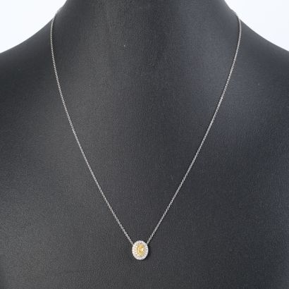 Two-tone gold necklace (750‰), set with an...