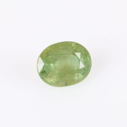 Oval demantoid andradite garnet on paper...