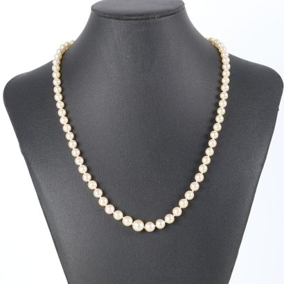 A necklace of tumbling cultured pearls (5.5...