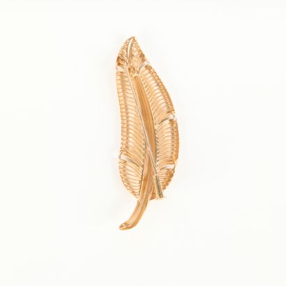 Gold feather brooch. Length: 4.5 cm. 1,73...