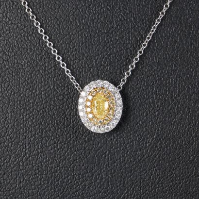 Two-tone gold necklace (750‰), set with an...