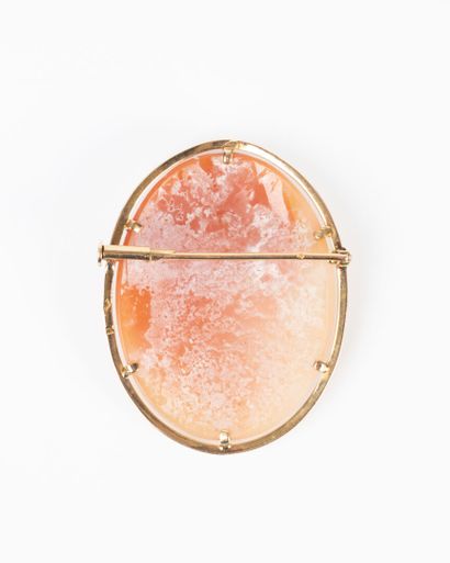Gold brooch (750‰), set in close with a shell...