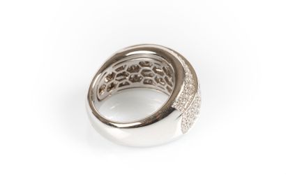 Large white gold 