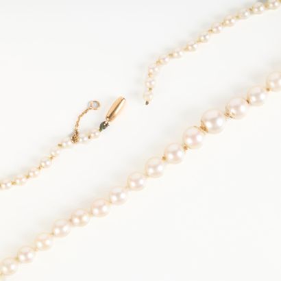 Cascading cultured pearl necklace (3 to 7...