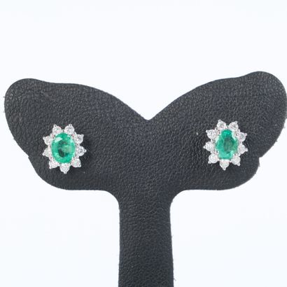 Pair of ear studs in white gold (750‰), each...