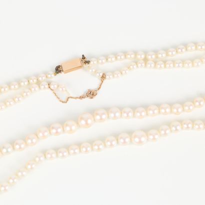 Necklace of falling double-strand cultured...