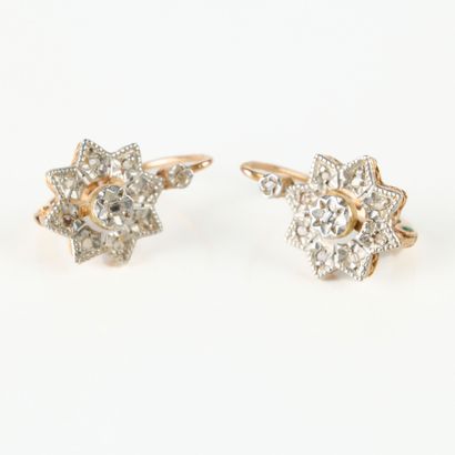 Pair of earrings in two-tone (750/1000 -...
