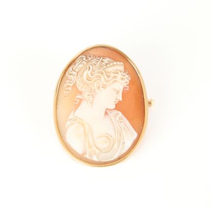 Gold pendant brooch set with a shell cameo...