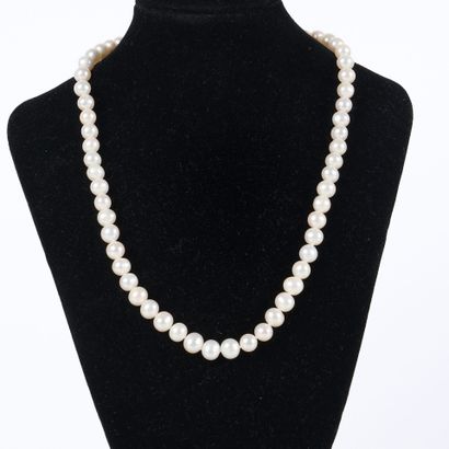Necklace of cultured pearls (average diameter...