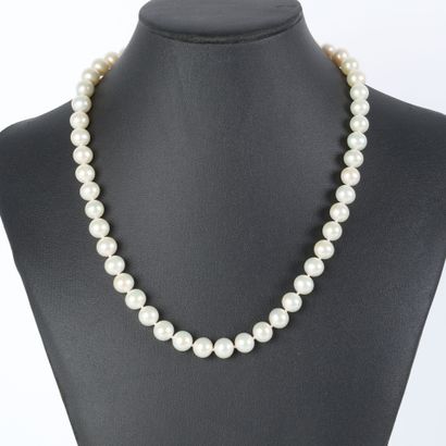 Necklace of cultured pearls (diam. 9 mm -...
