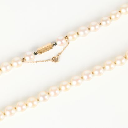 Choker cultured pearl necklace (diam. 7 mm),...