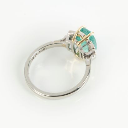 Yellow gold (750‰) and platinum ring, Art...