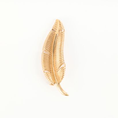 Gold feather brooch. Length: 4.5 cm. 1,73...