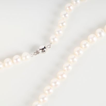 Necklace of cultured pearls (average diameter...