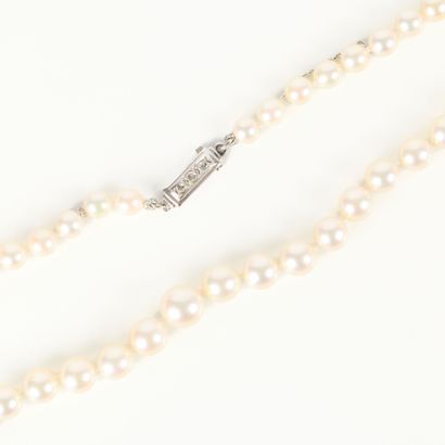 A necklace of tumbling cultured pearls (5.5...