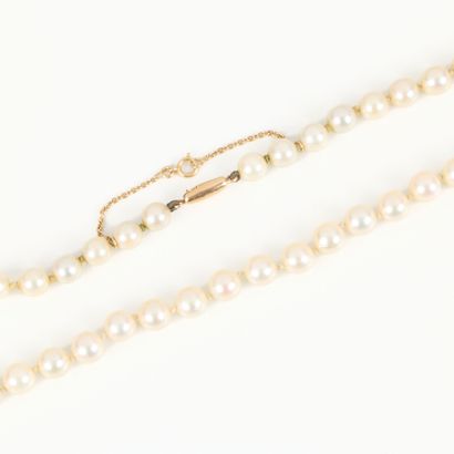 Necklace of choker cultured pearls (diam....