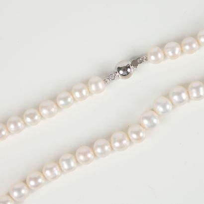 Necklace of cultured pearls (average diameter...
