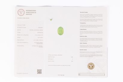 Oval demantoid andradite garnet on paper...