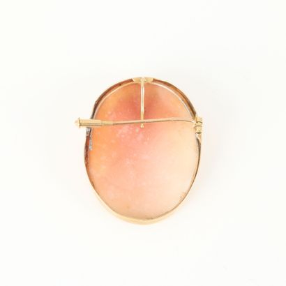 Gold pendant brooch set with a shell cameo...