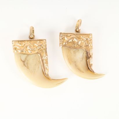 Set of 2 tiger tooth pendants mounted in...