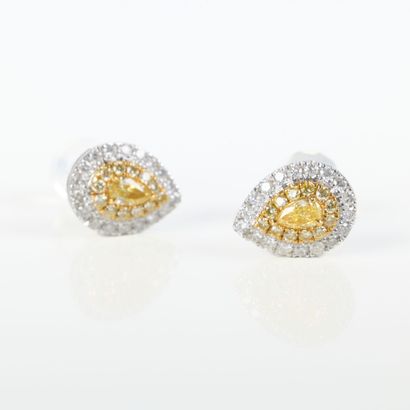Pair of ear studs in white gold (750‰), each...