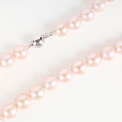 Large chocker cultured pearl necklace (diam....