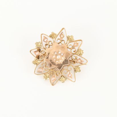 Rosette brooch in two-tone openwork gold,...
