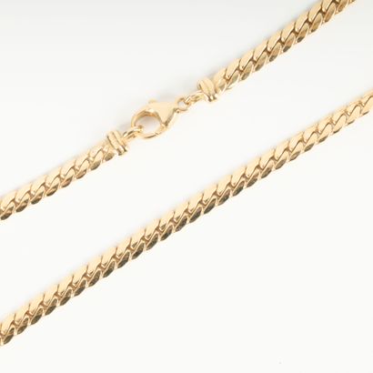 Gold flat chain.
Length: 44 cm
Weight : 24,...