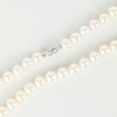 Necklace of cultured pearls (diam. 9 mm -...