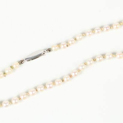 Necklace of choker cultured pearls (4 mm),...