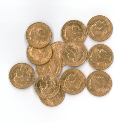 13 gold coins : 20 FF Coq 1908