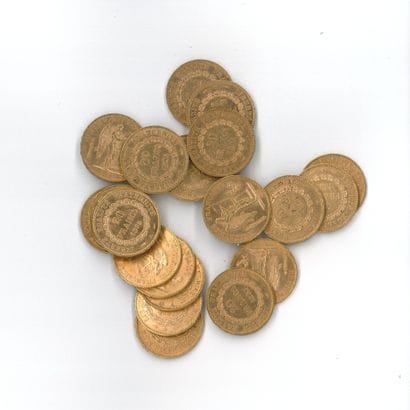 20 gold coins: 20 FF Génie 1895 A