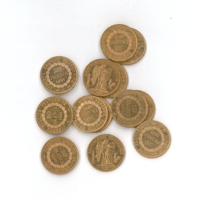 13 gold coins: 20 FF Génie 1891 A