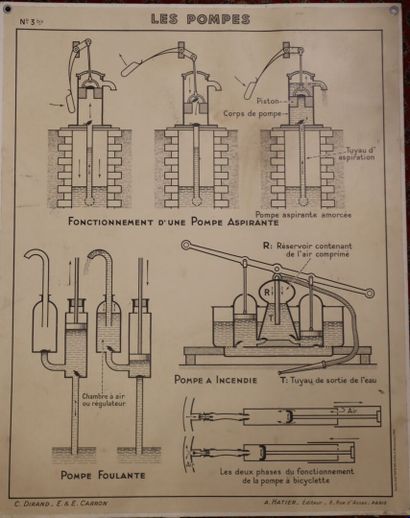 Cinq affiches scolaires recto-verso pour...