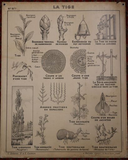 Cinq affiches scolaires recto-verso pour...