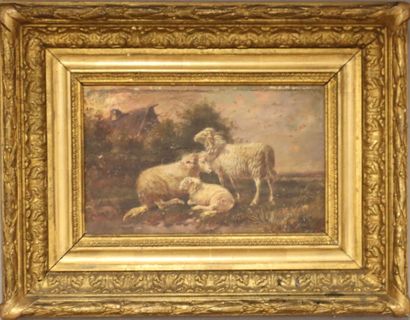 VERBOEKHOVEN (? Fin du XIXe siècle)
Moutons...