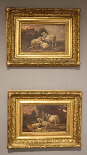 VERBOEKHOVEN (? Fin du XIXe siècle)
Moutons...