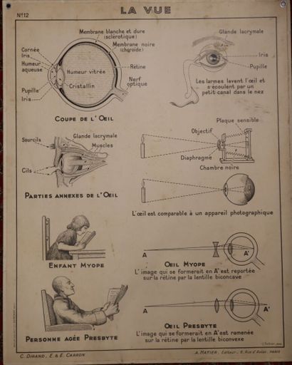 Cinq affiches scolaires recto-verso pour...