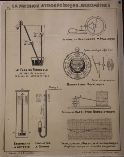 Cinq affiches scolaires recto-verso pour...