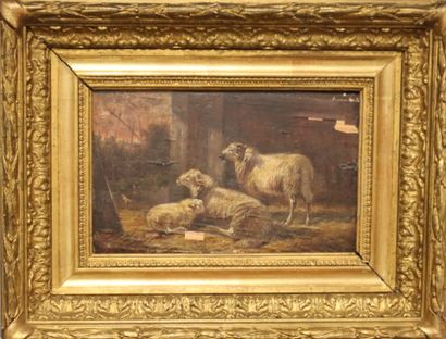 VERBOEKHOVEN (? Fin du XIXe siècle)
Moutons...