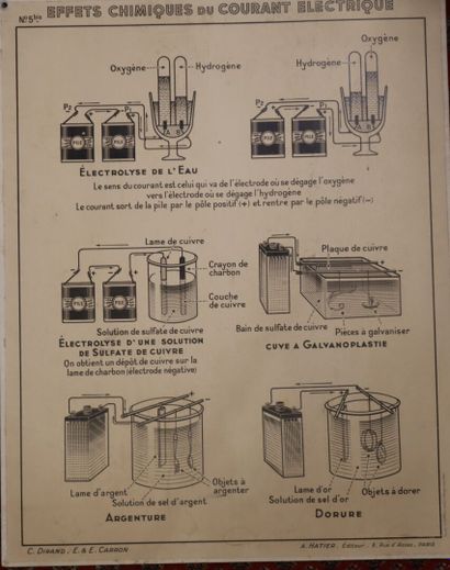 Cinq affiches scolaires recto-verso pour...