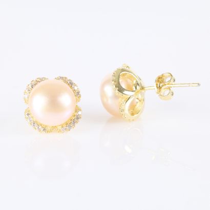 Paire de boutons d'oreilles fleurs en acier...