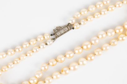 Double-strand necklace of tumbling cultured...