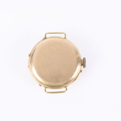 Women's rose gold watch bracelet; the dust...